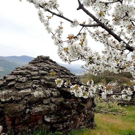 Apartamento Rural Amaluna El Torno (Extremadura) Exterior foto