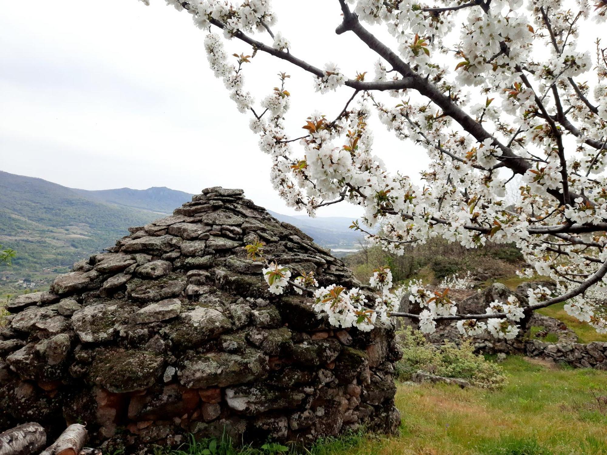 Apartamento Rural Amaluna El Torno (Extremadura) Exterior foto